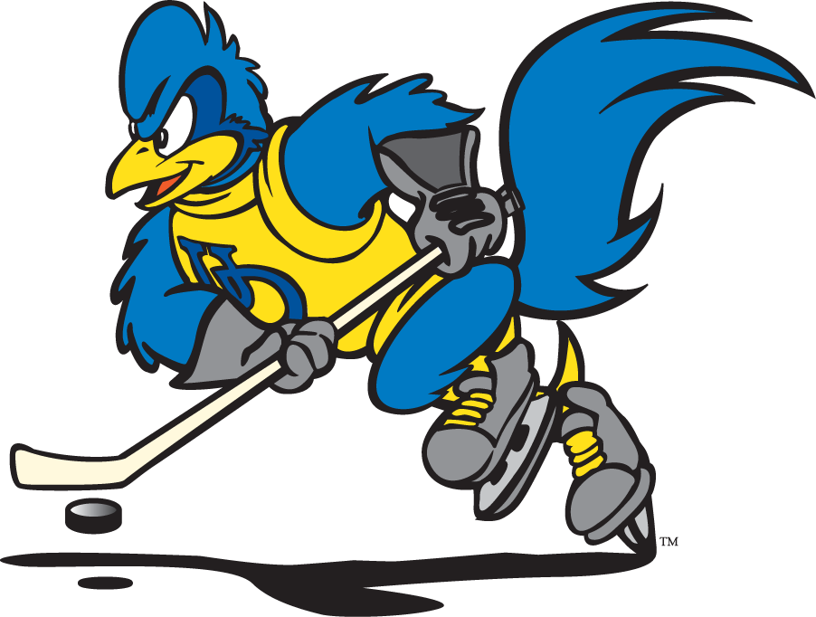 Delaware Blue Hens 1999-2009 Mascot Logo v13 iron on transfers for clothing